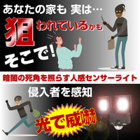 朝日電器 ソーラー式センサーライト2灯 ESL-N112SL 1個