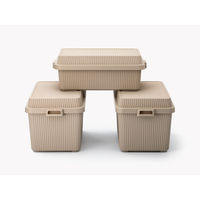 ライクイット スタックアップコンテナー53（インナーボックスセット） ベージュ STC-01S 1個