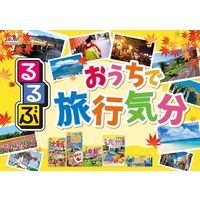 るるぶ小枝＜宮古島塩ミルク＞TTP 6袋 森永製菓 チョコレート