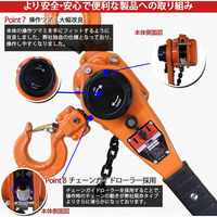 ベストアンサー レバーホイスト 1t JD 2台セット lh-001-2p 1セット(2台入)（直送品）