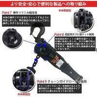 ベストアンサー レバーホイスト 1.6t VGP-1.6 ブラック 2台セット lh-006-2p 1セット(2台入)（直送品）