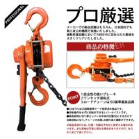 レバーホイスト 0.75ton 003 1台