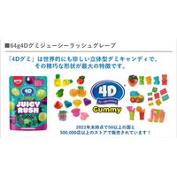 4Dグミ ジューシーラッシュグレープ 64g 6袋 カンロ グミ
