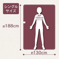 電響社 電気掛敷毛布 ブラウン DM-Y13FKSN-BR 1点