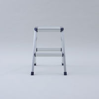 YAMAZEN 天板が広くて安心なアルミ幅広踏み台 2段 YM-DB02SG(DBL) 1台