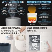QUADS スチーム加湿器2.5L 連続加湿 グレー QS328GY 1台（直送品）