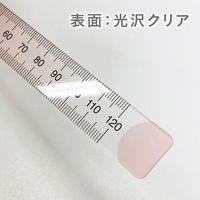 ニュアンスカラー定規 16cm シナモンシュガー NJ-16-03 1セット（5本） 共栄プラスチック（直送品）