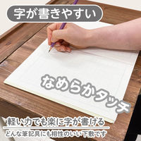 共栄プラスチック 下敷 しっかりシタ字キ A4 方眼/無地リバーシブル きなこもち SHS-A4-03 1セット(1枚×2)