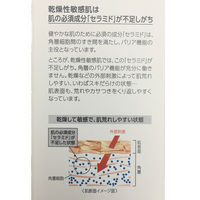 Curel（キュレル） 乳液 120mL 花王　敏感肌