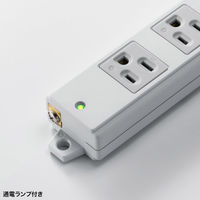 サンワサプライ 工事物件タップ(3P・2個口・3m) TAP-KS2N-3 1本