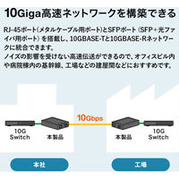 サンワサプライ 10Giga光メディアコンバータ LAN-EC2011TF 1個（直送品）