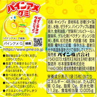 パインアメグミ 20袋 パイン