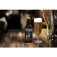 【飲み比べ】クラフトビール ギフト 金しゃちビールアソート 330ml 瓶 1セット（5種×1本）