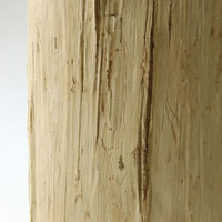 ＳＰＩＣＥ　ＯＦ　ＬＩＦＥ　レジン切り株オブジェ　ナチュラル　Ｍサイズ　ＸＤＤＨ３０２０　1個（直送品）