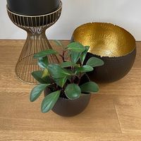 杉田エース CLOVERブロンズアルミボウル Φ14 CXU955734 1セット(3個)（直送品）