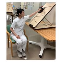 共臨社 ぐいぐいストレッチ W450 GI-4509 1セット（直送品）