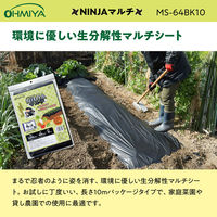 オーミヤ MS-64BK10 NINJAマルチ 10mMS-64BK10　1枚（直送品）