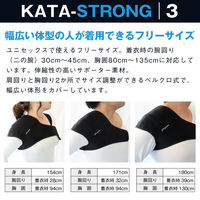 オーミヤ カタストロング3 SP-51 1枚