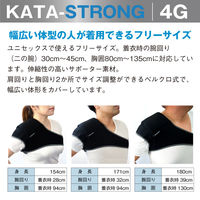 オーミヤ SP-58 カタストロング4GSP-58　1枚（直送品）