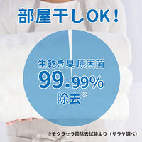 【旧品】ヤシノミ洗たく洗剤 濃縮タイプ 本体 600ml 1個 衣料用洗剤 サラヤ