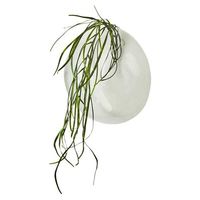 杉田エース AFFARI OF SWEDENクリングウォールベース W25×H25 CWB956748 1個（直送品）