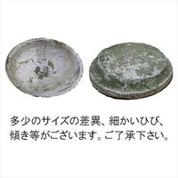 杉田エース AFFARI OF SWEDENテラコッタトレイ ホワイト 19cm CWB954208 1セット(3個)（直送品）