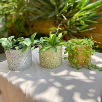 杉田エース Bloomingvilleコンクリートフラワーポット D14 グリーン CXE955761 1セット(2個)（直送品）