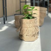 杉田エース AFFARI OF SWEDENカリファポット Φ10 CWB956236 1セット(3個)（直送品）