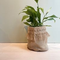 杉田エース AFFARI OF SWEDENカリファポット Φ22 CWB956240 1セット(3個)（直送品）