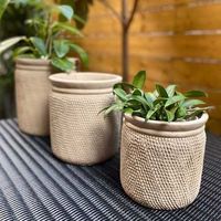 杉田エース SERAXスネークポット 11.5 サンド B8119001 CWW694661 1セット(3個)（直送品）