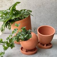 杉田エース SERAXコニカルポット ウィズ ソーサー D25 B7218155 CWW694647 1個（直送品）