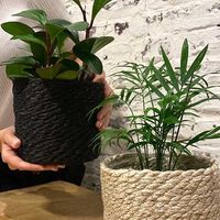 杉田エース NORDALロープポット ブラック Φ14 CXF955970 1セット(3個)（直送品）