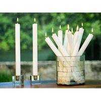 杉田エース lucidディナーキャンドル グレー 28cm LC10020 CXQ694436 1セット(2枚)（直送品）