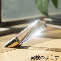 ナリカ 日時計 SDー25 (沖縄) S77-1552-03 1個（直送品）