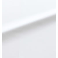 半袖ブラウス 7号 ホワイト GBSL-2359-A1 1着 サーヴォ（直送品）