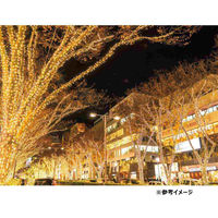 ストア・エキスプレス LEDストレートライト 200球 ホワイト/ゴールド 8162-2242 1セット 38-49-1-17（直送品）