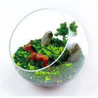 アーテック テラリウムDio 58249 1セット