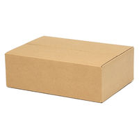 シモジマ 段ボール A4用ー100 スリム 無地 002123210 1セット(20枚入×1箱)