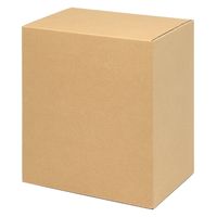 シモジマ 段ボール B5用ー300 スリム 無地 002123209 1箱(20枚)