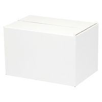 シモジマ 段ボール A5用ー150 スリム 白無地 002123300 1セット(20枚入×1箱 合