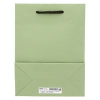 ＨＥＩＫＯ 手提げ紙袋　ブライトバッグ Ｔー３ ピスタチオ（マットタイプ） 006143148 1セット(10枚入×5袋 合計50枚)（直送品）