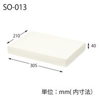 ＨＥＩＫＯ 洋品箱　ソフィアボックス ＳＯー０１３ 無地 006857262 1セット(10枚入×10袋 合計100枚)（直送品）