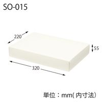 ＨＥＩＫＯ 洋品箱　ソフィアボックス ＳＯー０１５ 無地 006857263 1セット(10枚入×10袋 合計100枚)（直送品）