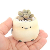 チャーム （観葉植物）おまかせプチ多肉　リトルアニマル　シマエナガ（１鉢）　固まる砂 347147（直送品）