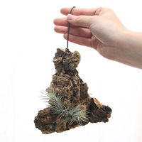 チャーム （観葉植物）バージンコルクプランツ　おまかせエアープランツ（１個） 364433（直送品）