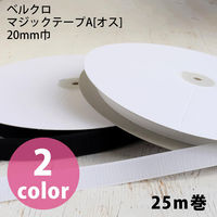 日本紐釦貿易 日本紐釦 ベルクロ 面ファスナー A[オス] 20mm巾×25m巻 白 F11-BER20-25A-W 1巻