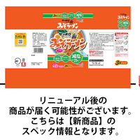 サンヨー食品 サッポロ一番 減塩 みそラーメン 1セット（27食：3食入×9袋）