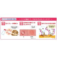 ペットキレイ 犬用 お散歩あとの手足用シャンプー 詰め替え 国産 270ml 3個 ライオンペット