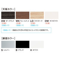 【軒先渡し】ニシキ工業 ミーティングテーブル 幅1800×奥行900×高さ720mm ティンバー AEK-S1890-TB 1台（直送品）