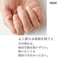 PROUP 食器の石鹸 IMP-CPL-500-T 1セット(3個)（直送品）